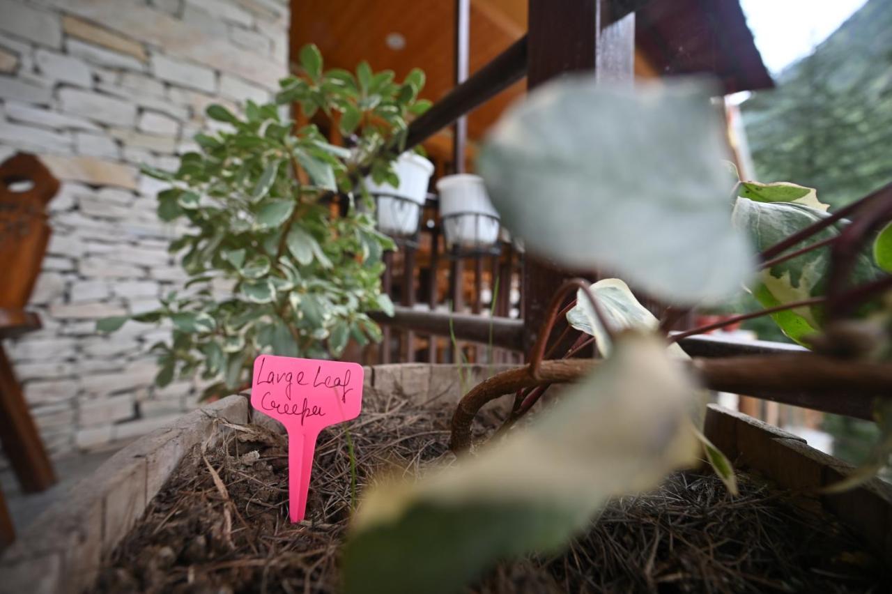 The Hillside Hotel Kasol Exterior foto
